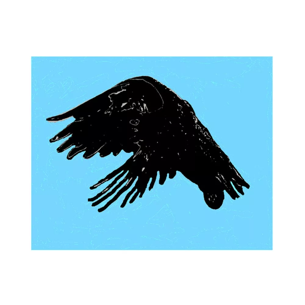 Air Born - Varnrable