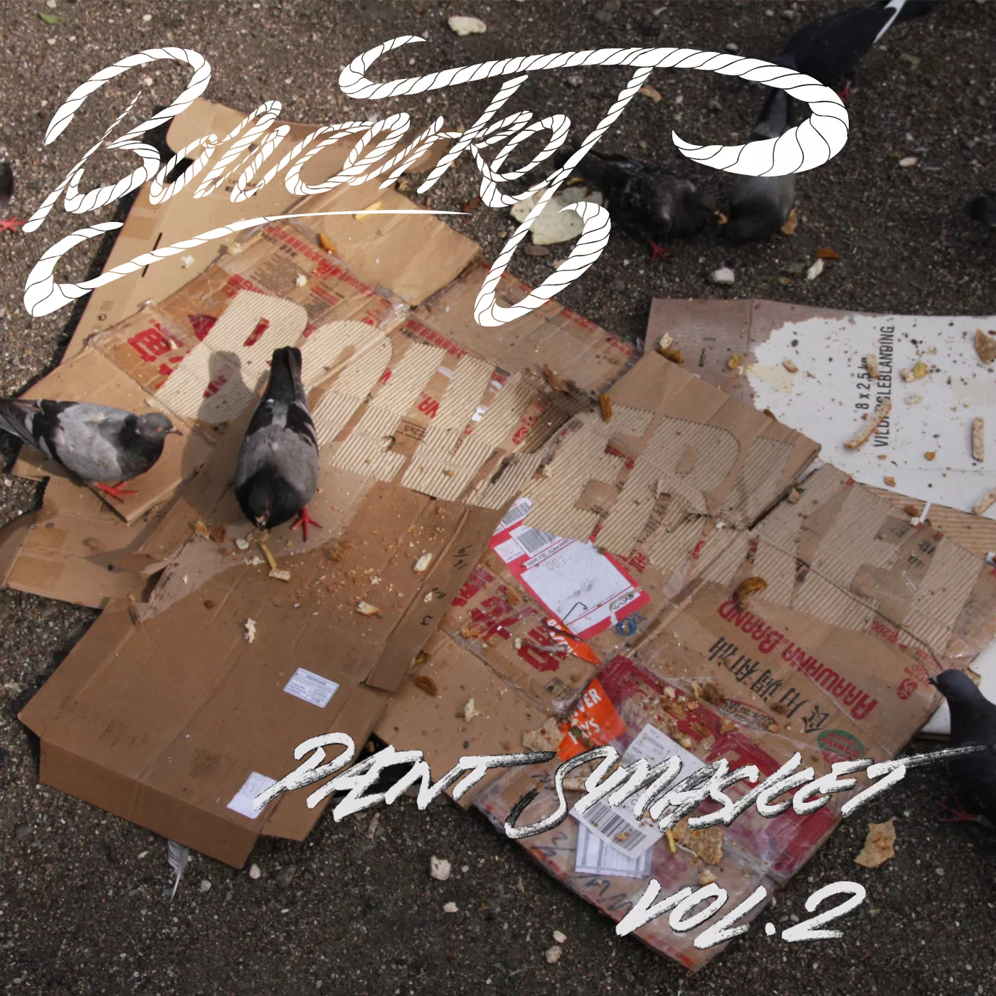 Pænt Smasket Vol. 2 - Bolværket