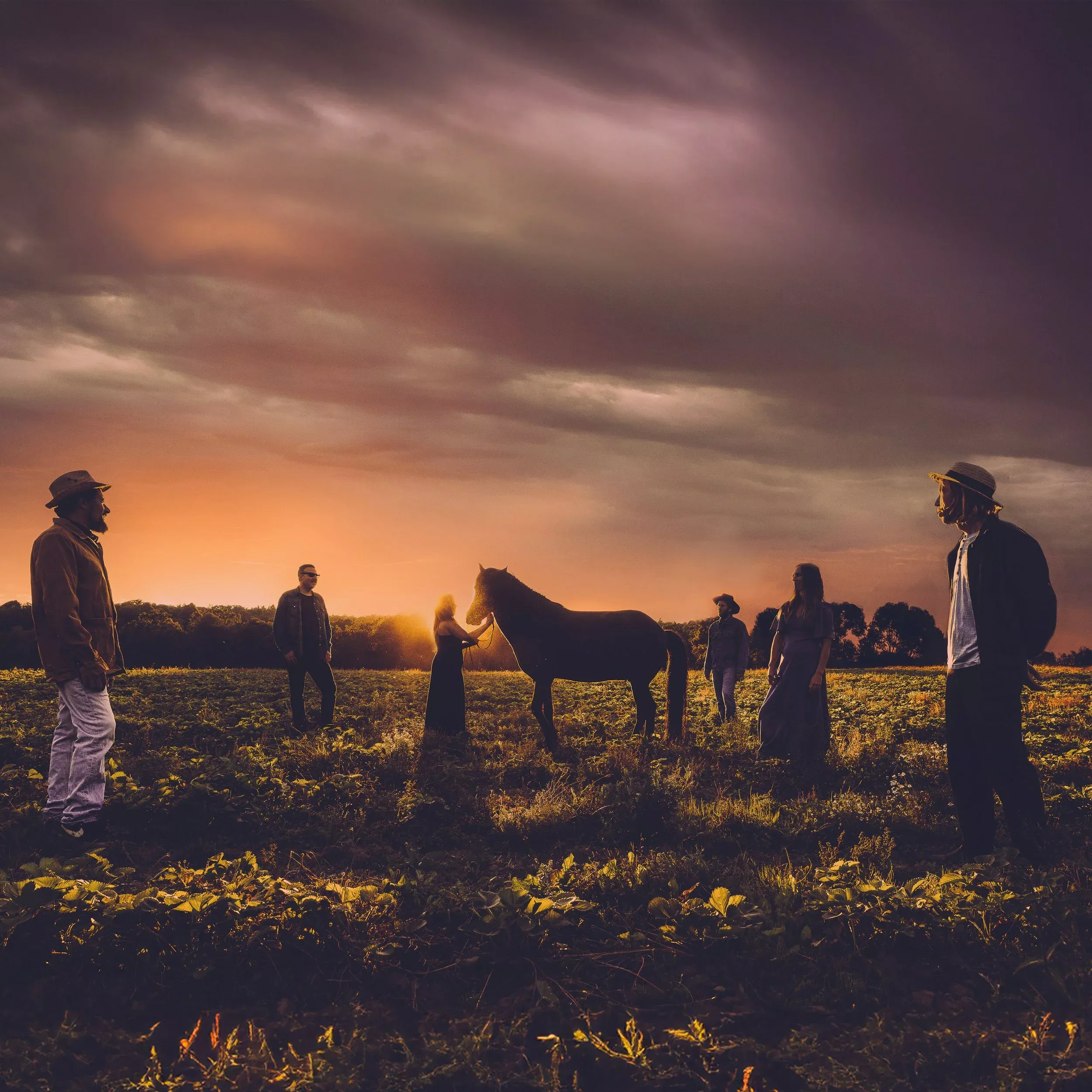Hjärtelandet - Dennis Hollström & The Ponies