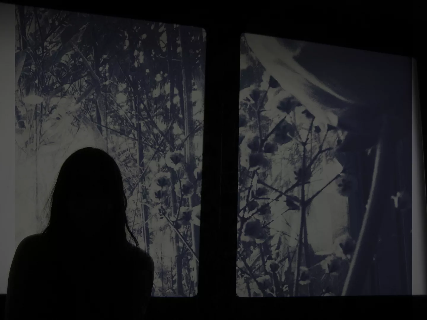 Dansk selskab udgiver ep med mystisk japansk band
