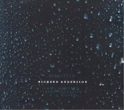 Intuition - Richard Andersson