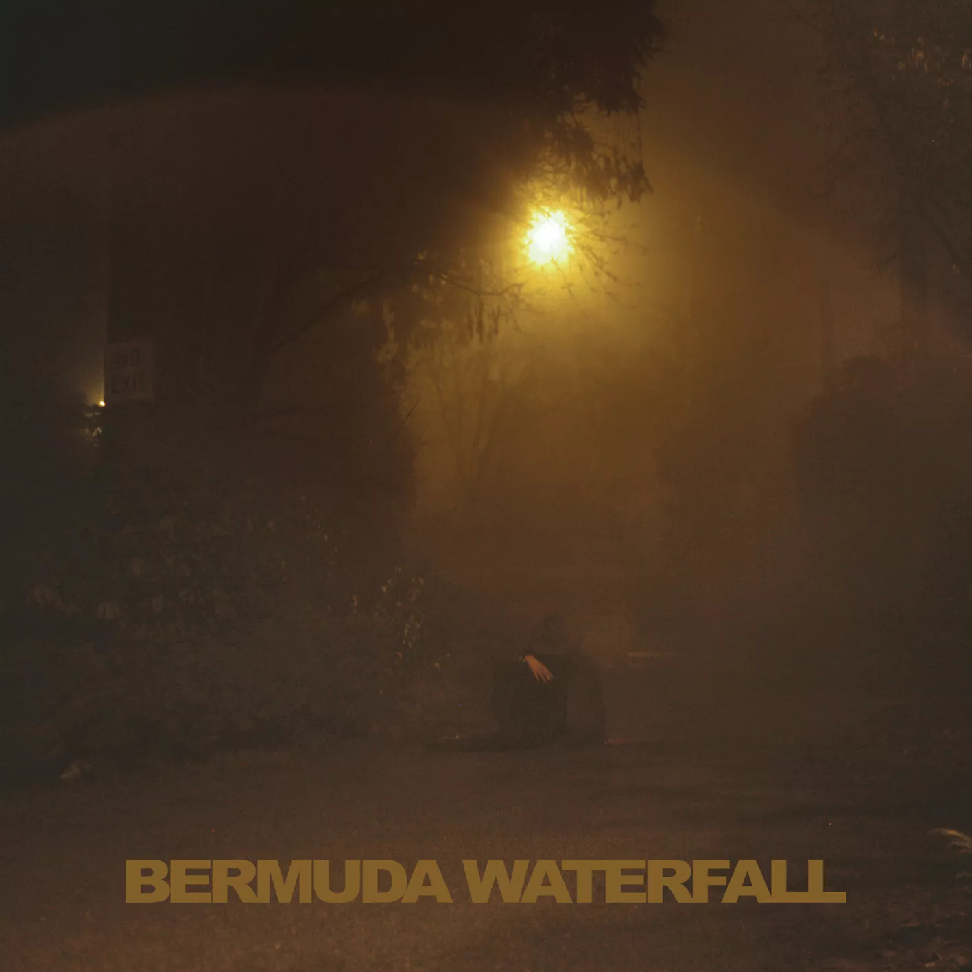 Bermuda Waterfall - Sean Nicholas Savage