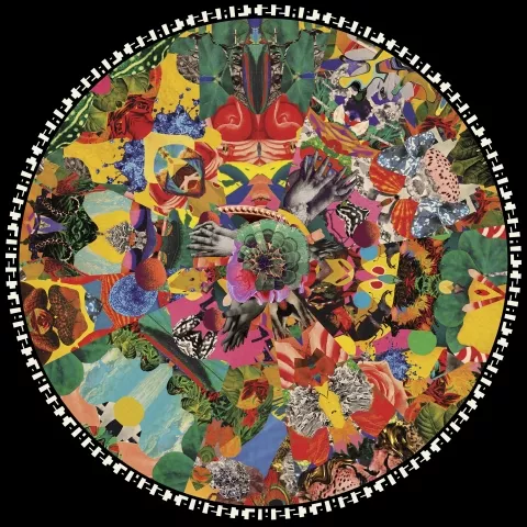 Pizza - Treefight For Sunlight