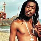 Beenie Man i færdselsuheld