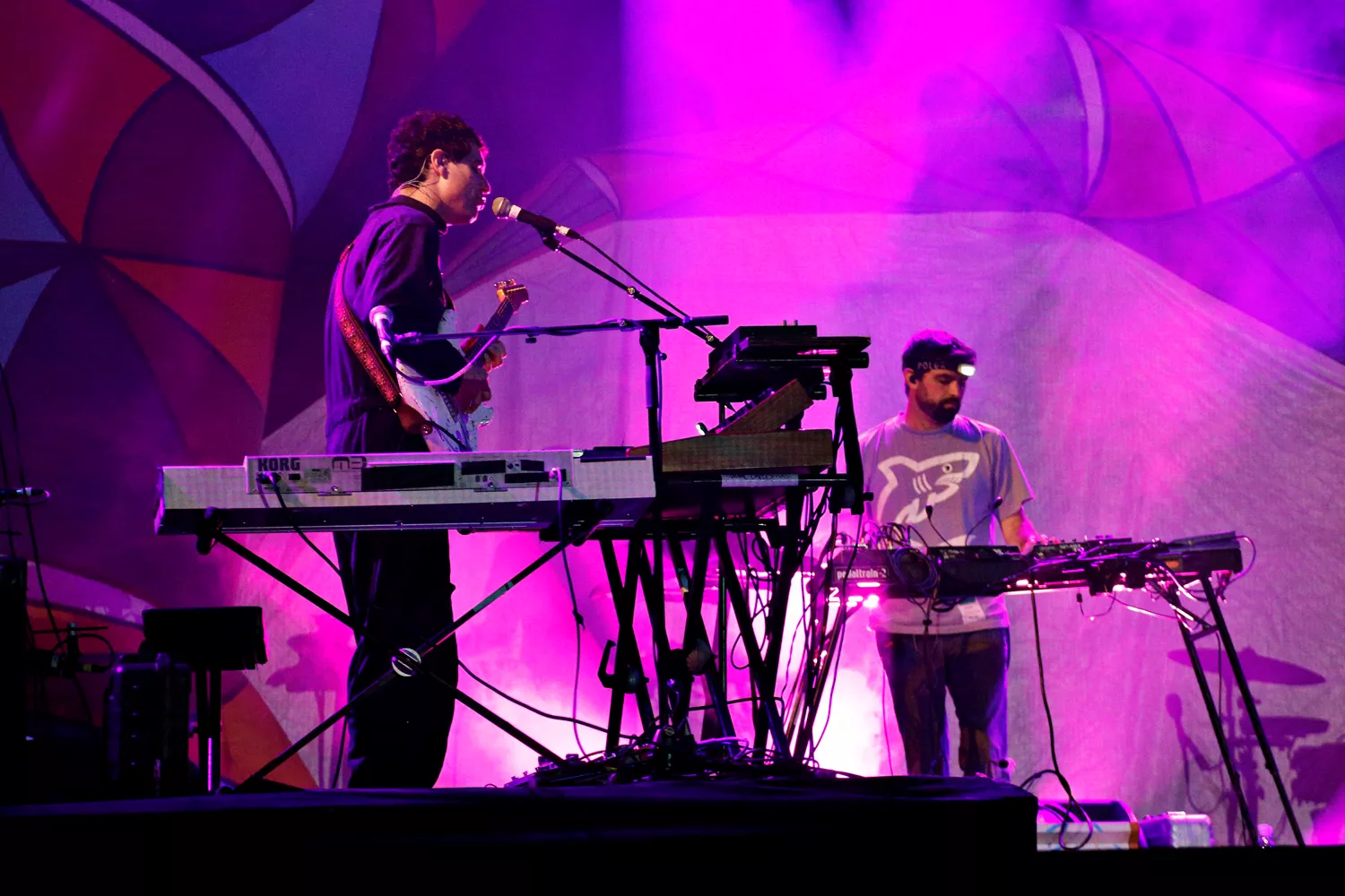 Animal Collective och Santigold ställer in turnéer