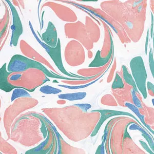 Who Killed Bambi + - Who Killed Bambi