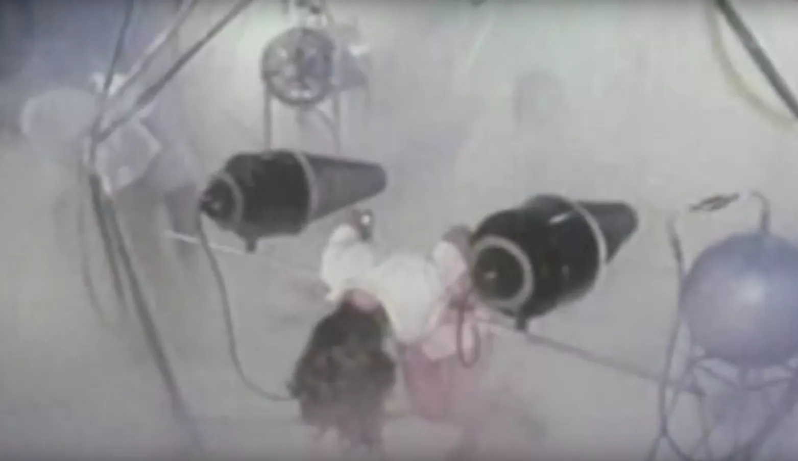 VIDEOPREMIÄR: Arre! Arre! - Fight The System