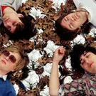 Interview: Grizzly Bear på Pitchfork Music Festival