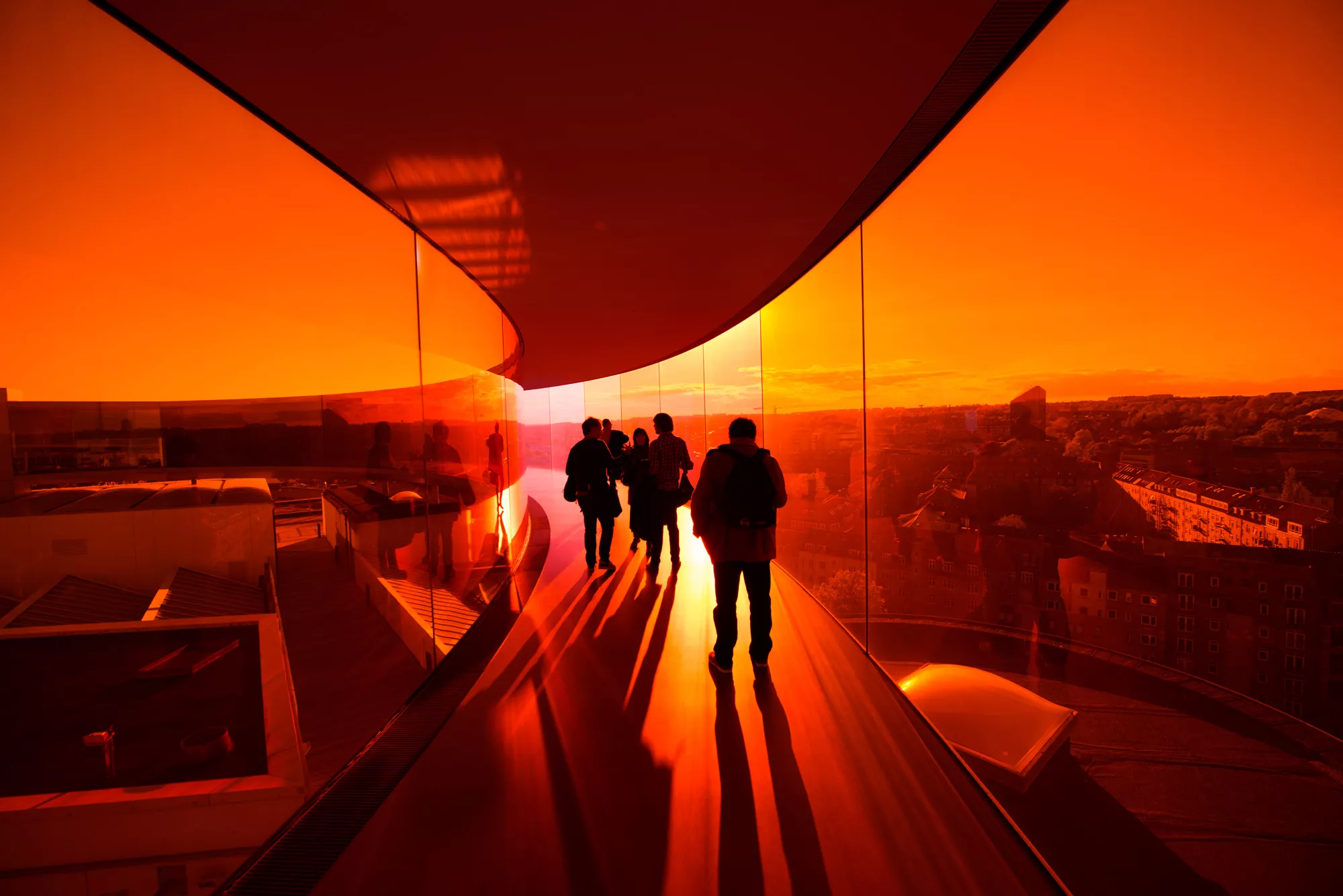 The Portuguese Man Of War : Your Rainbow Panorama, Aros