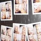 No Doubt holder pause