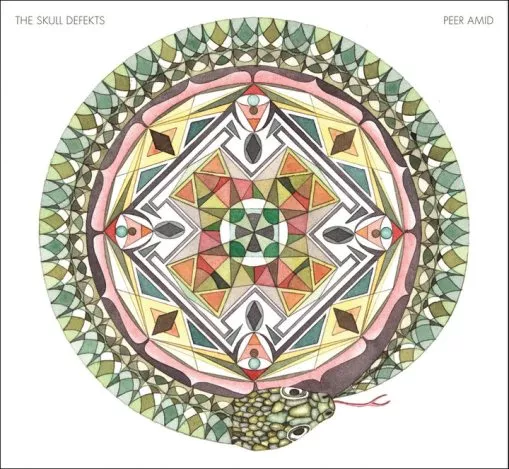 Peer Amid - The Skull Defekts