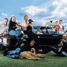 Belle & Sebastian barsler med nyt