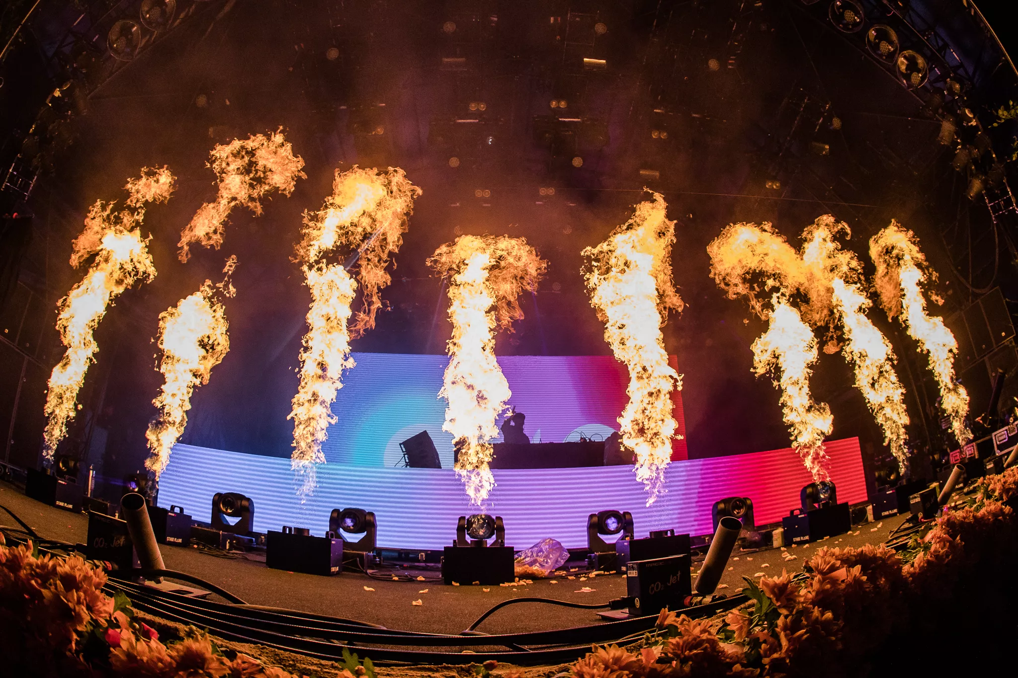 DJ Snake var hverken dødbringende eller giftig