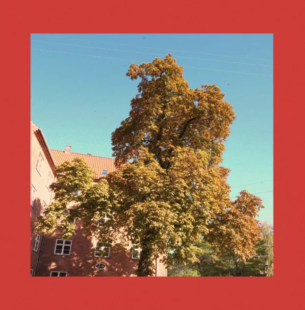 Naturen - Sebastian Wegener