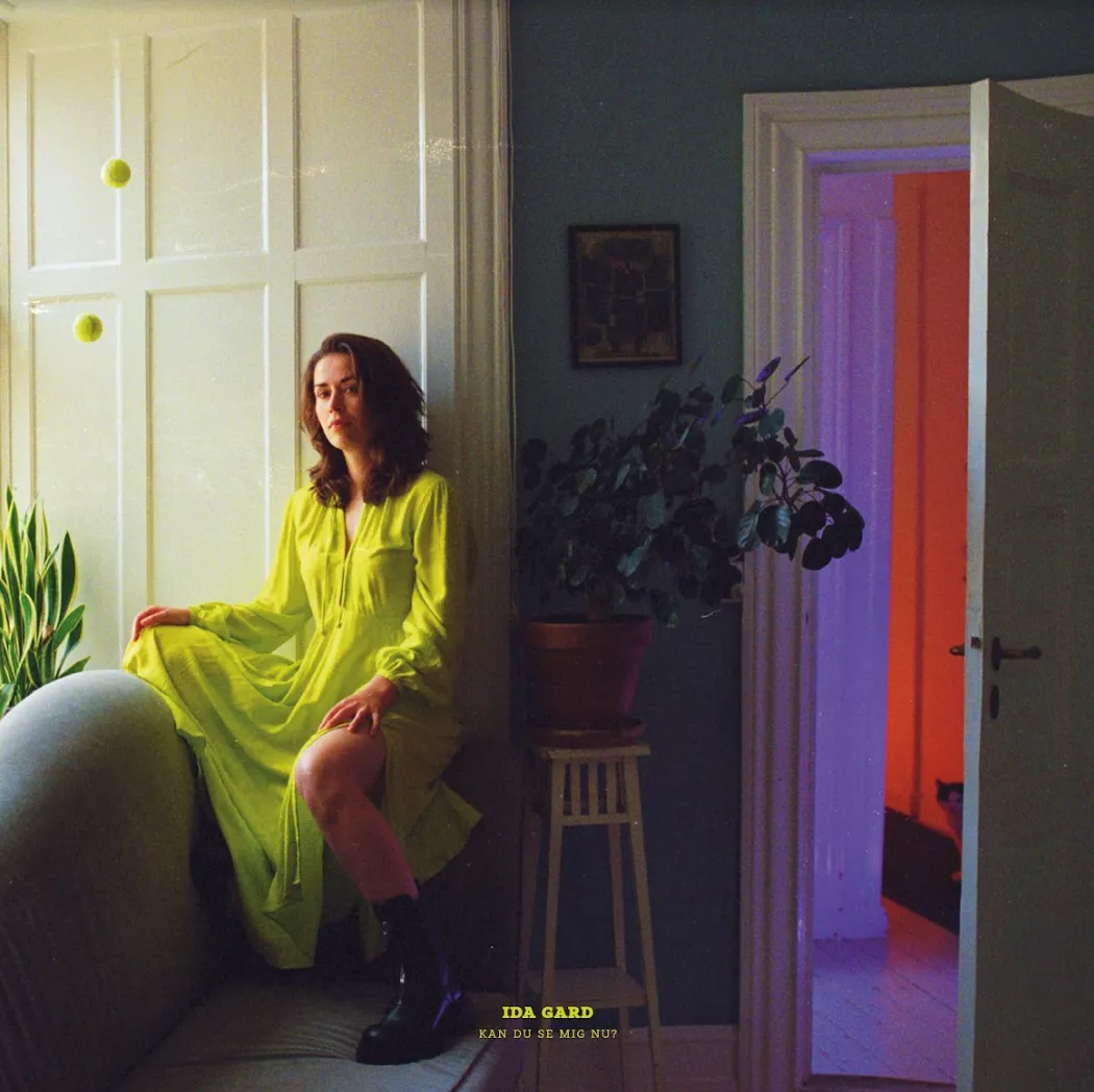 Kan du se mig nu? - Ida Gard