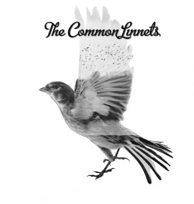 The Common Linnets - The Common Linnets