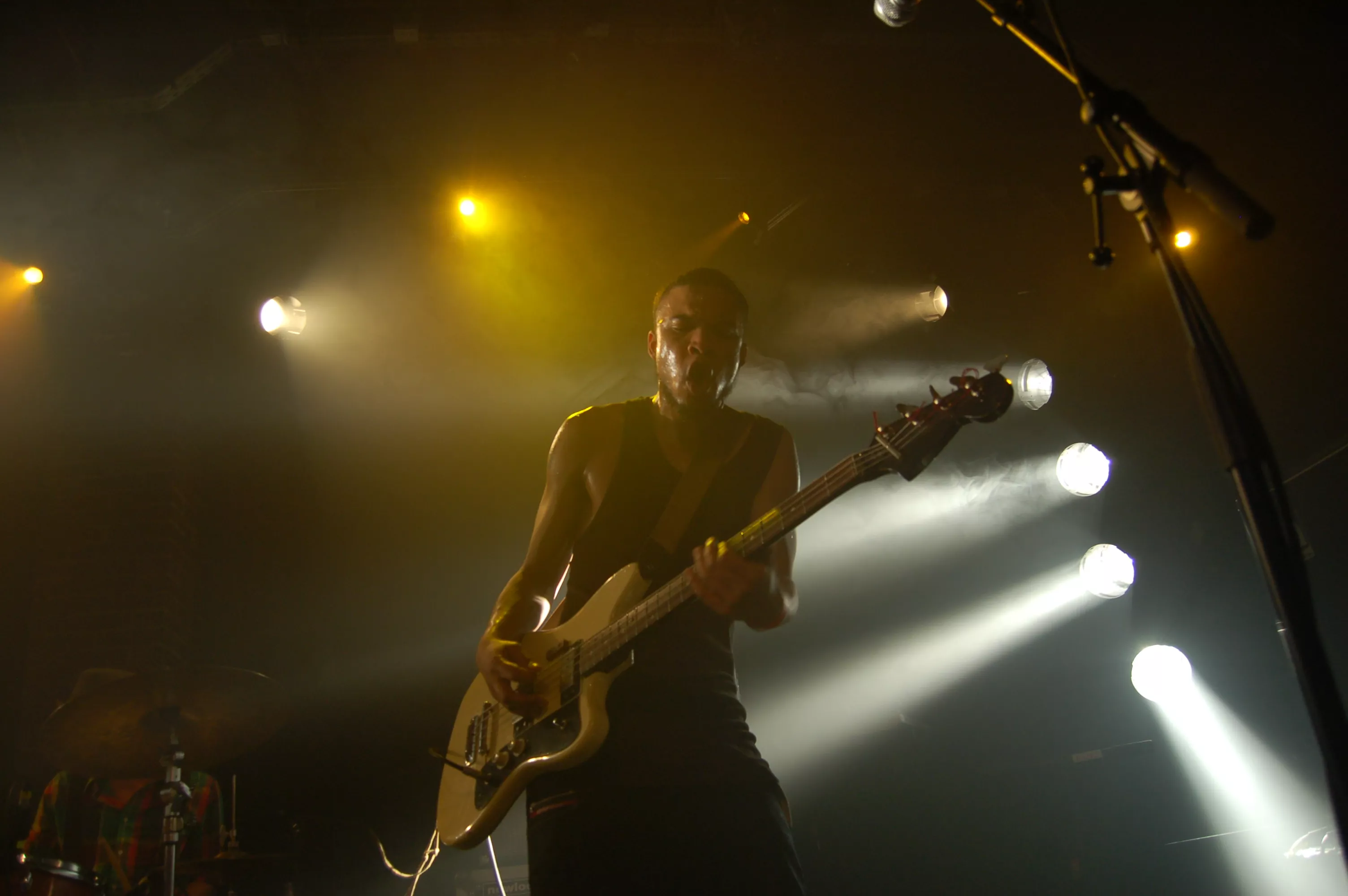 Are We Brothers? og den umiddelbare skabertrang