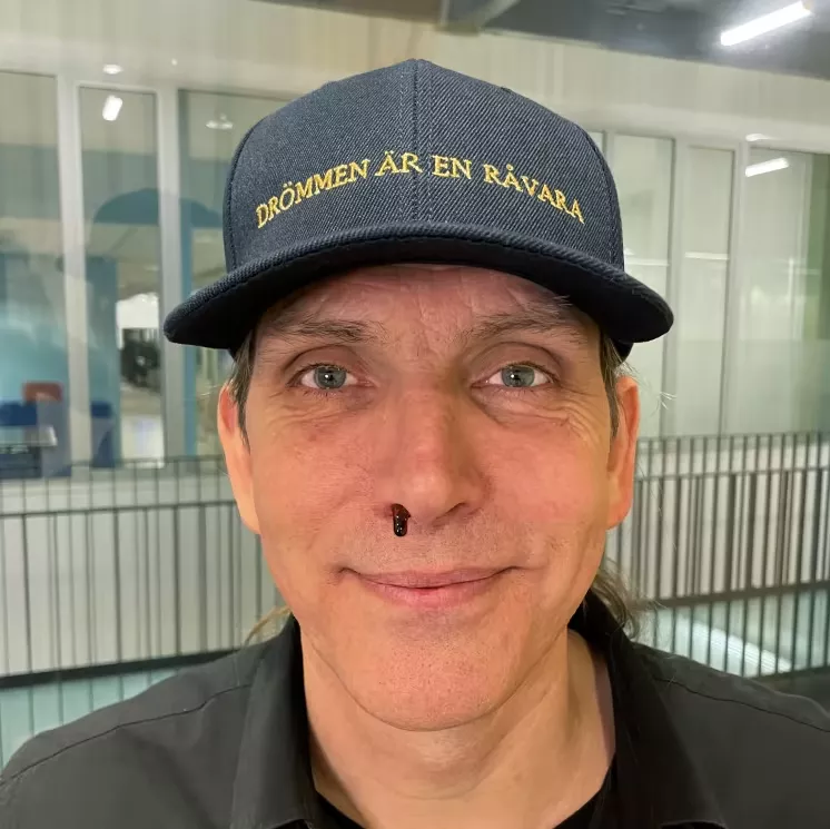 Drömmen är en råvara - Bob Hund