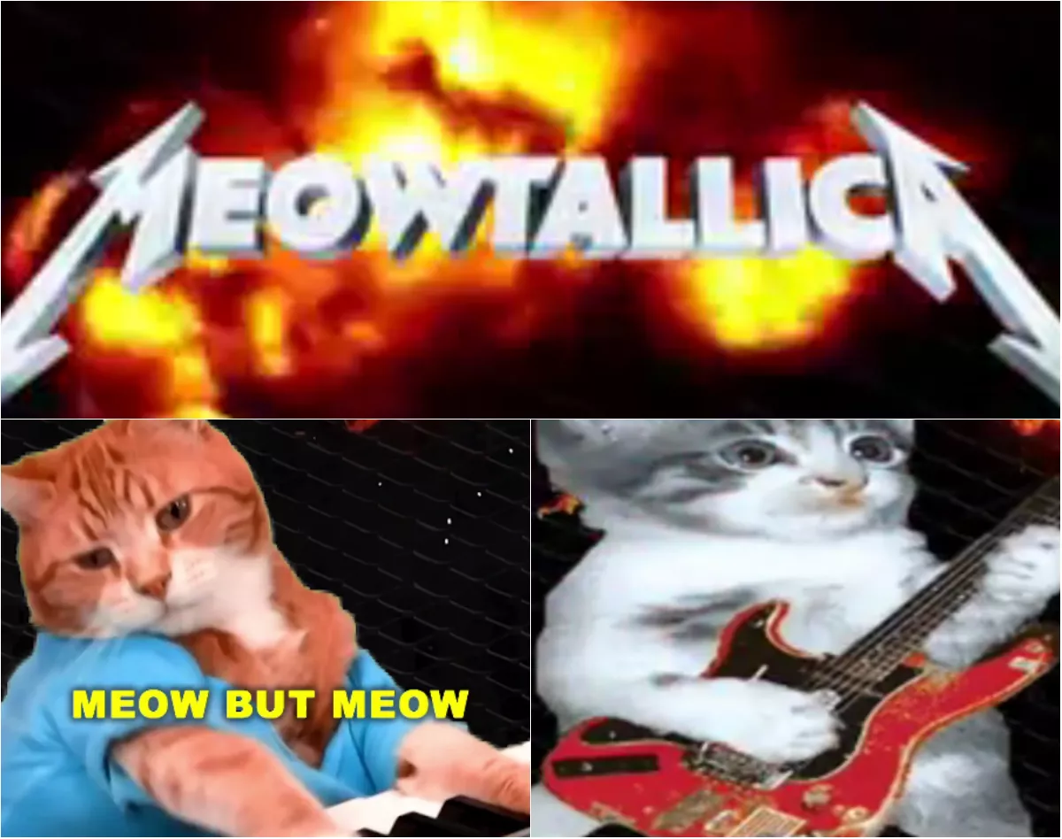 Här är Meowtallica – förmodligen internets mest idiotiska klipp