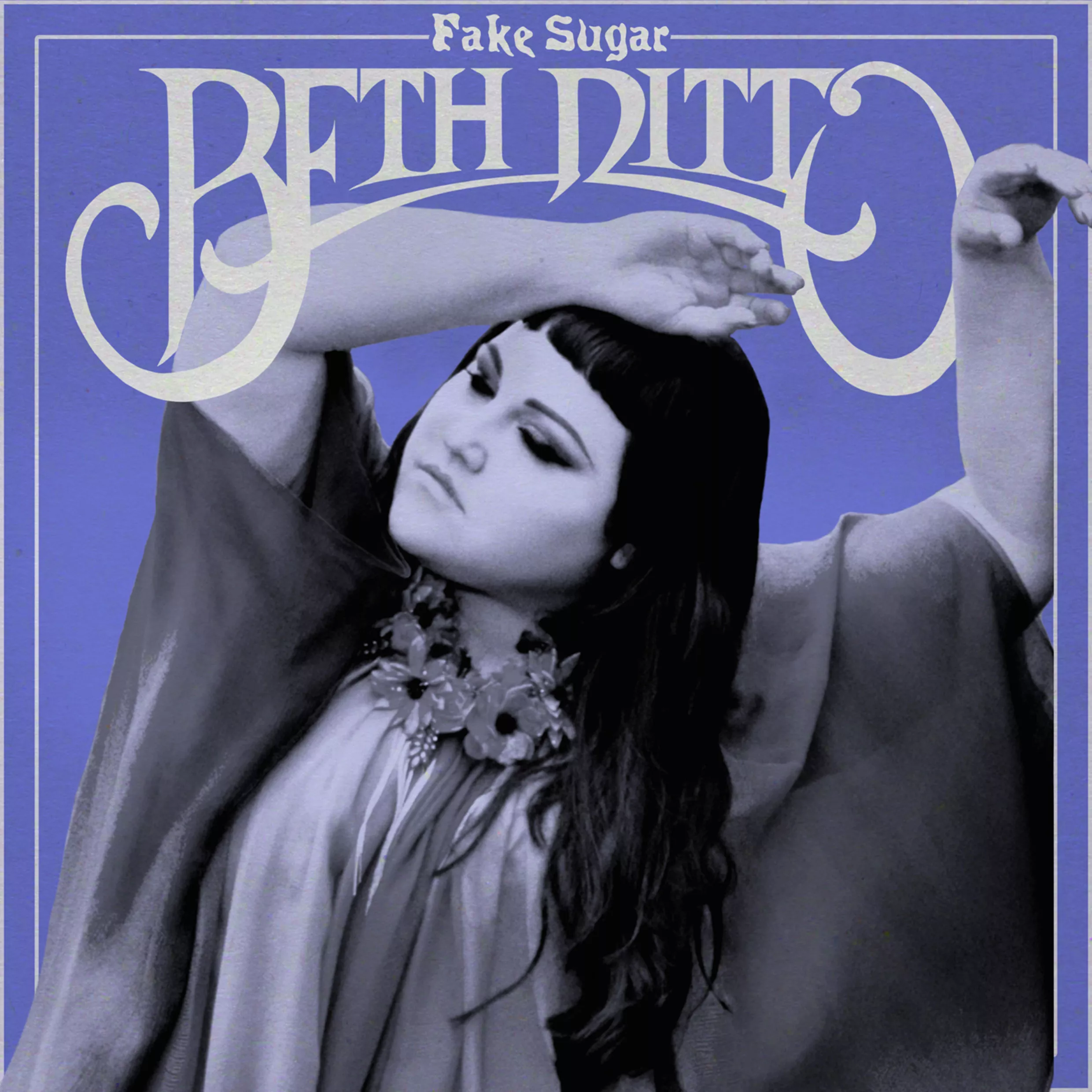 Fake Sugar - Beth Ditto