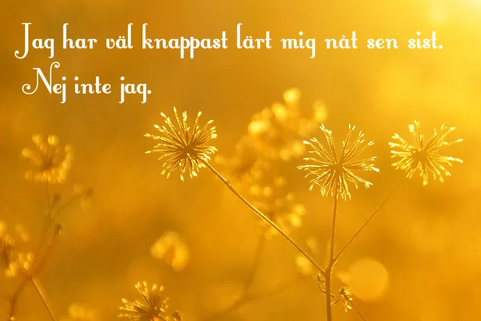 Låt dig inspireras – av Winnerbäck-citat