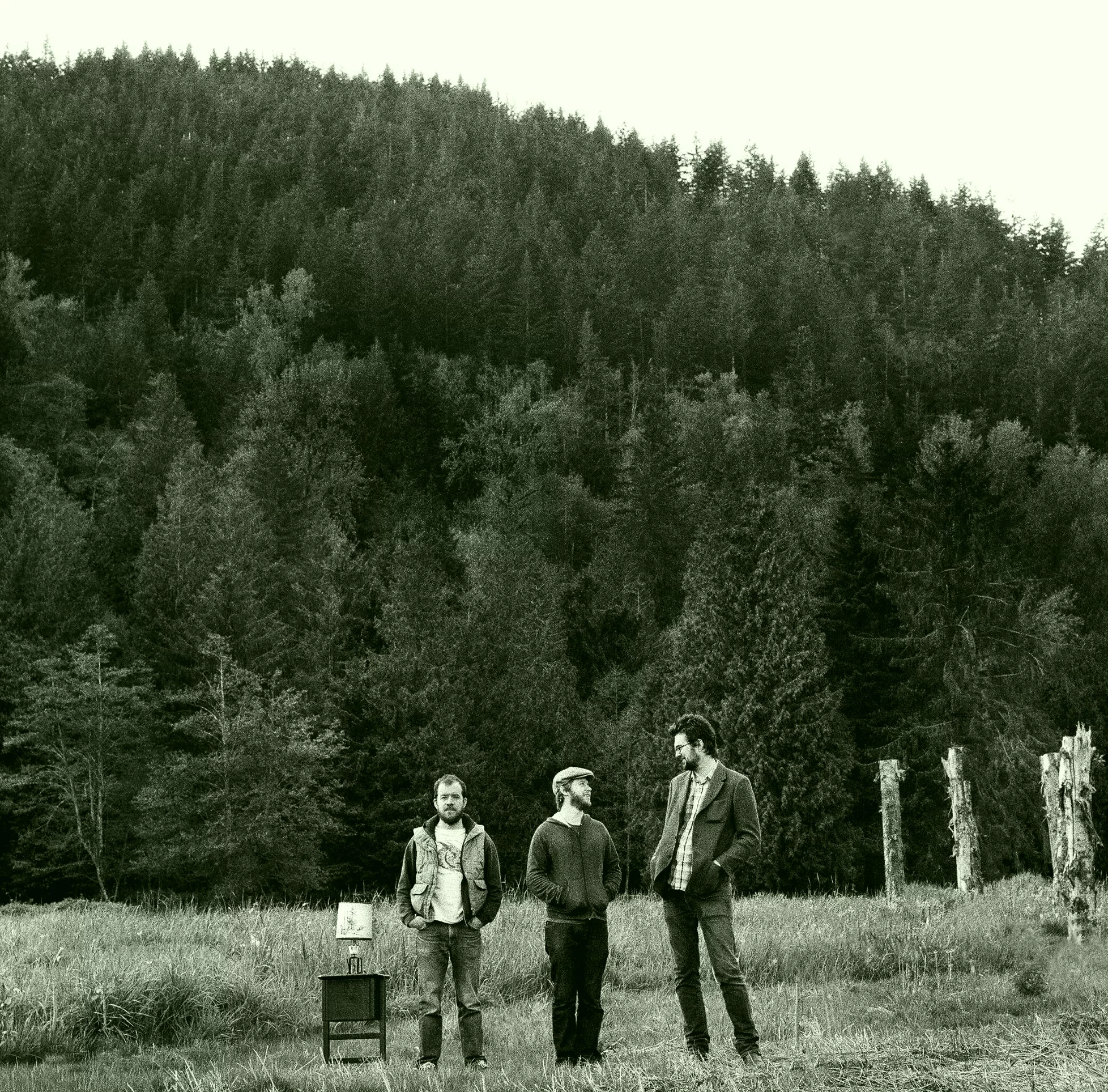 The Cave Singers: No Witch