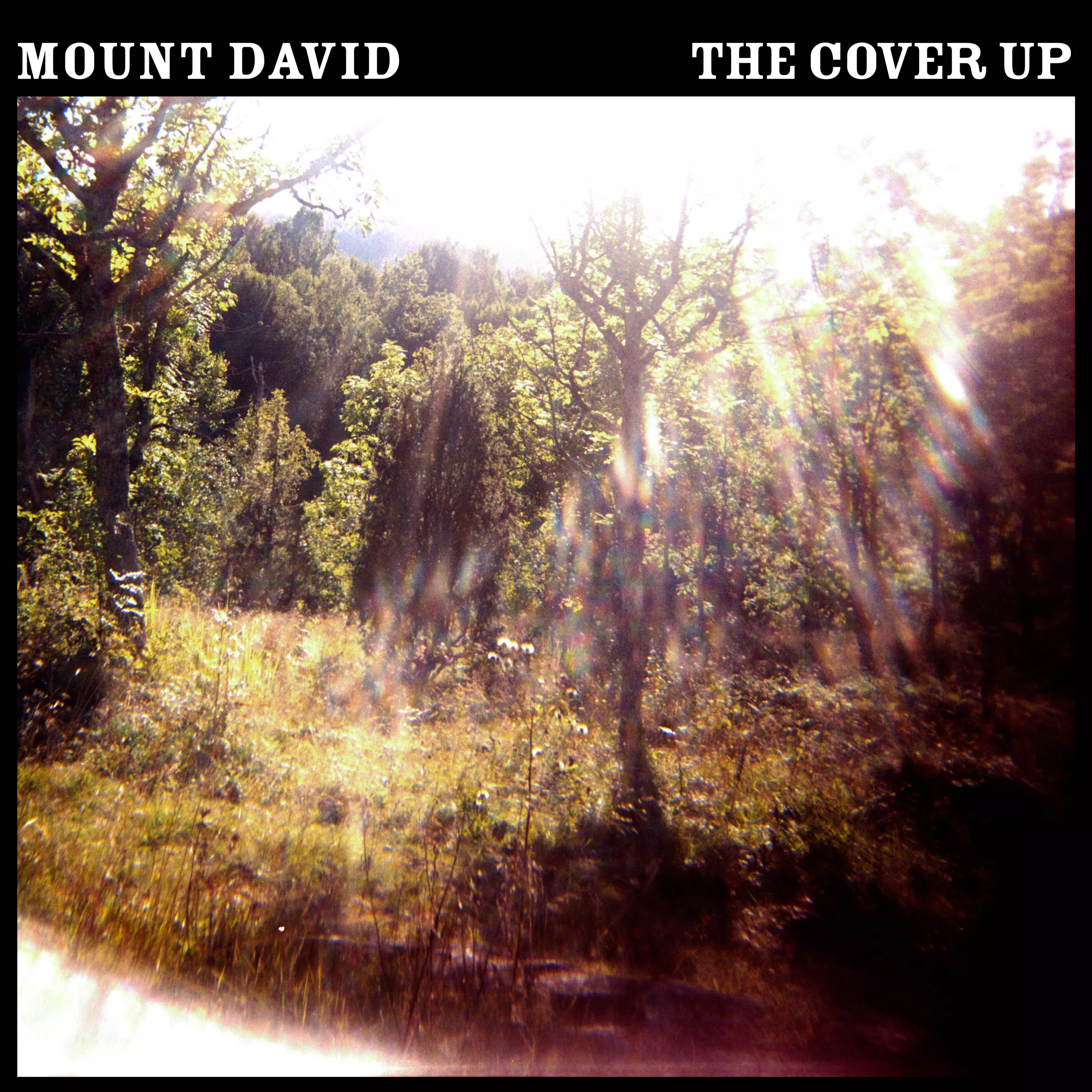 The Cover Up - Mount David