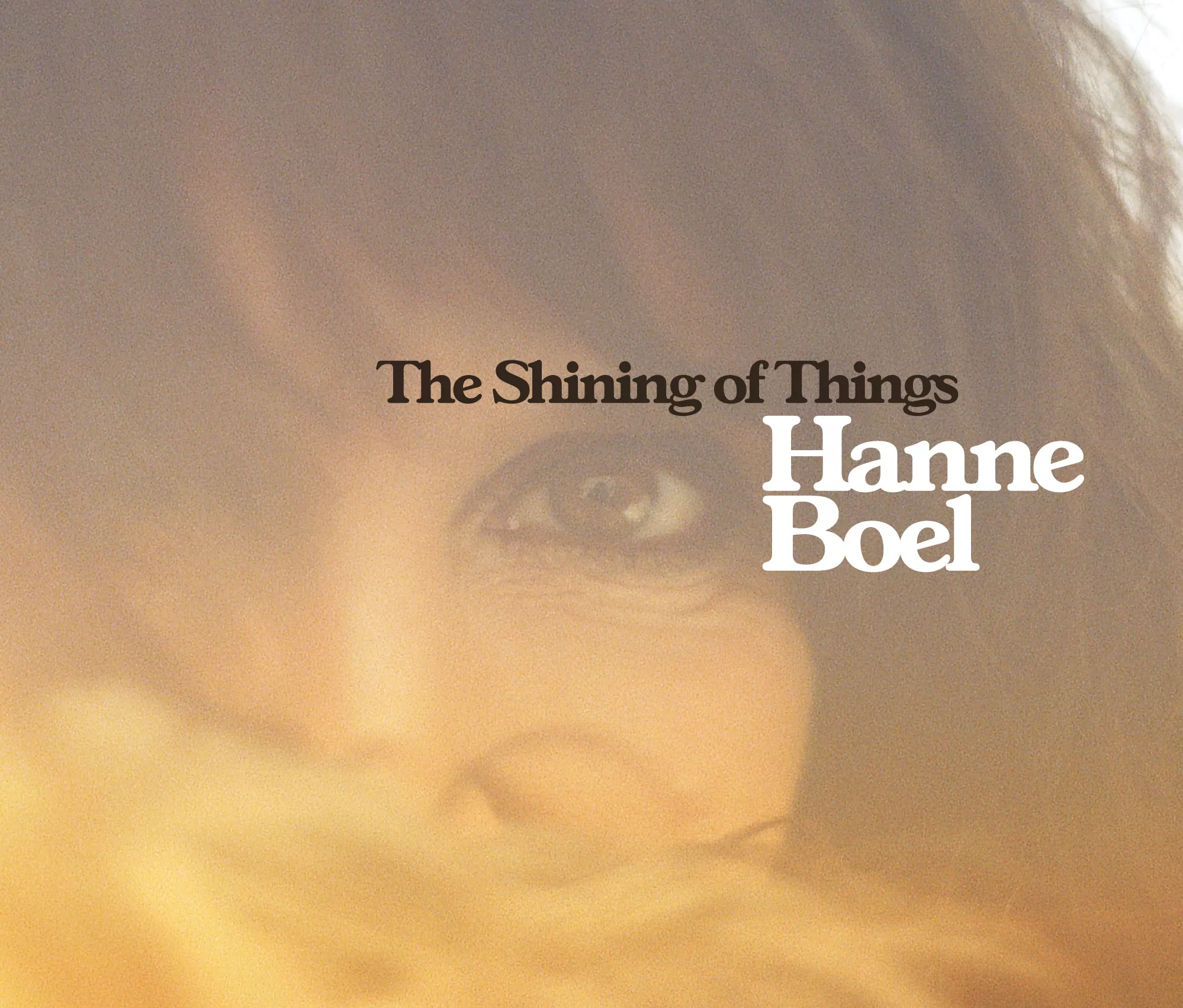 The Shining Of Things - Hanne Boel
