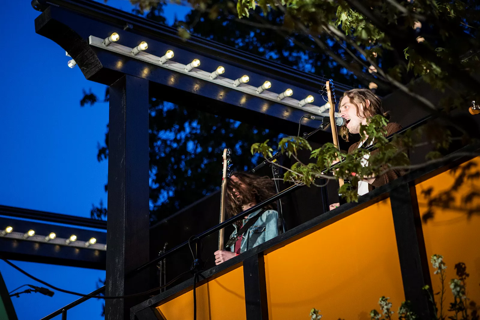 Blaue Blume: Det vil vi høre på Roskilde