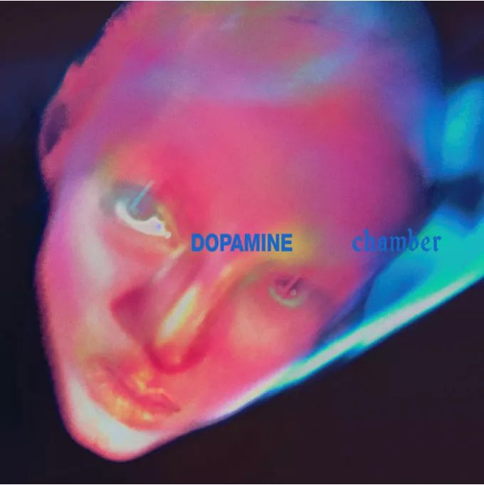 Dopamine Chamber - Fontaines D.C.