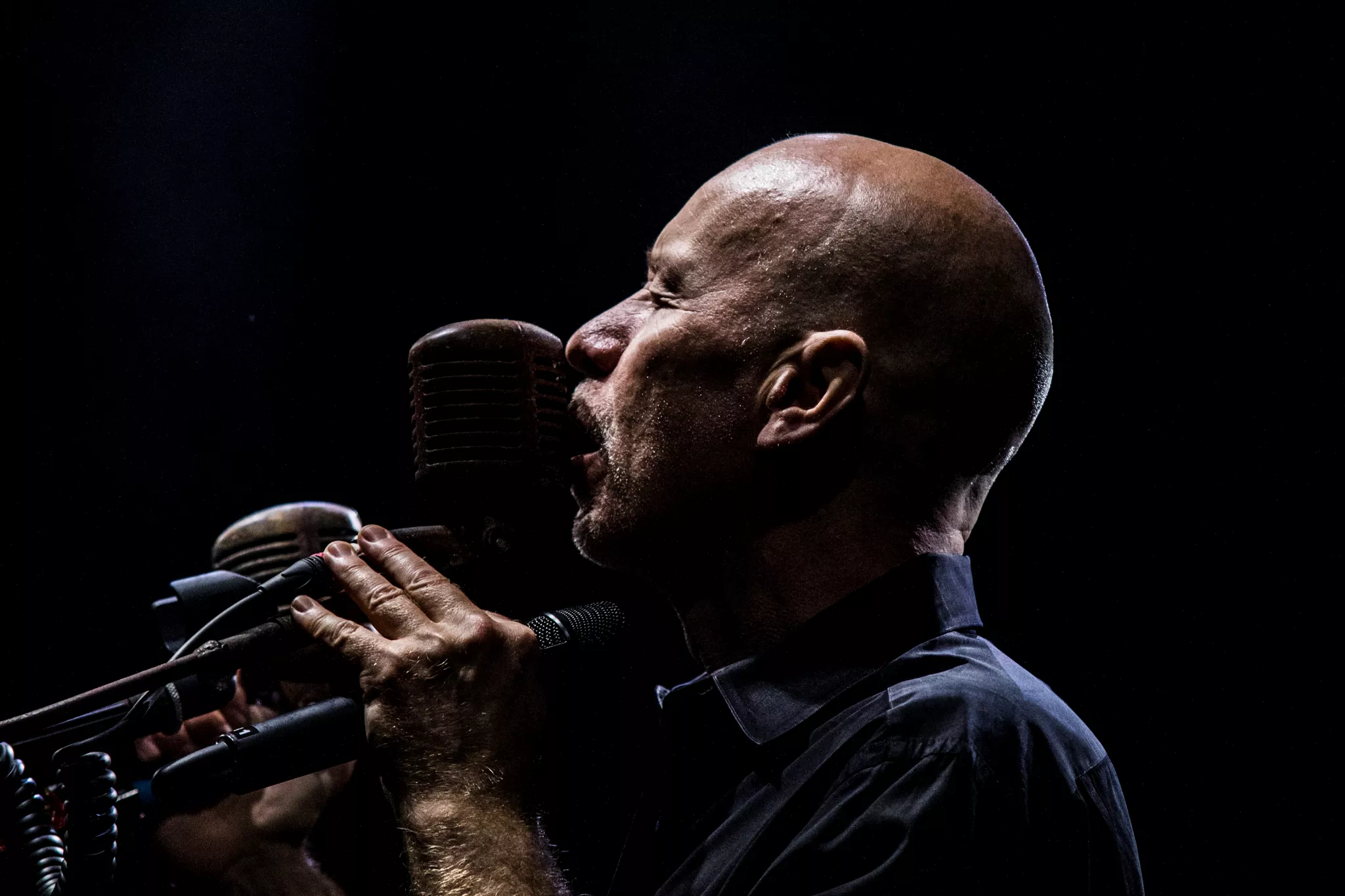 The The på Heartland-festivalen i 2018. Foto: Peter Kirkegaard