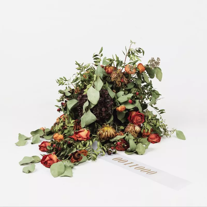 ANMELDELSE: En smuk skygge af etteren