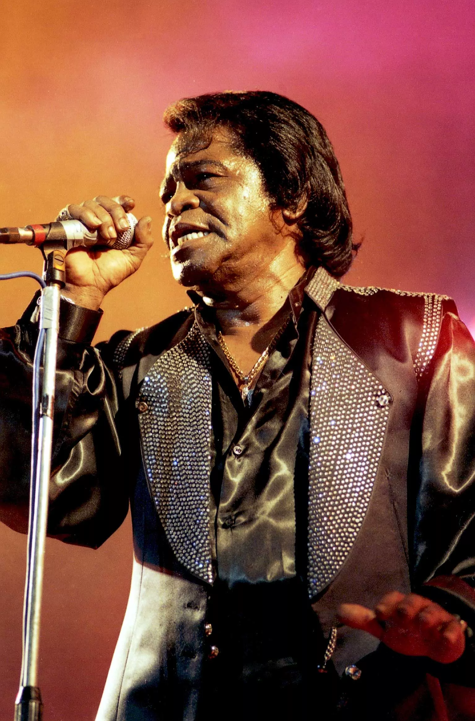 Wesley Snipes skal spille James Brown