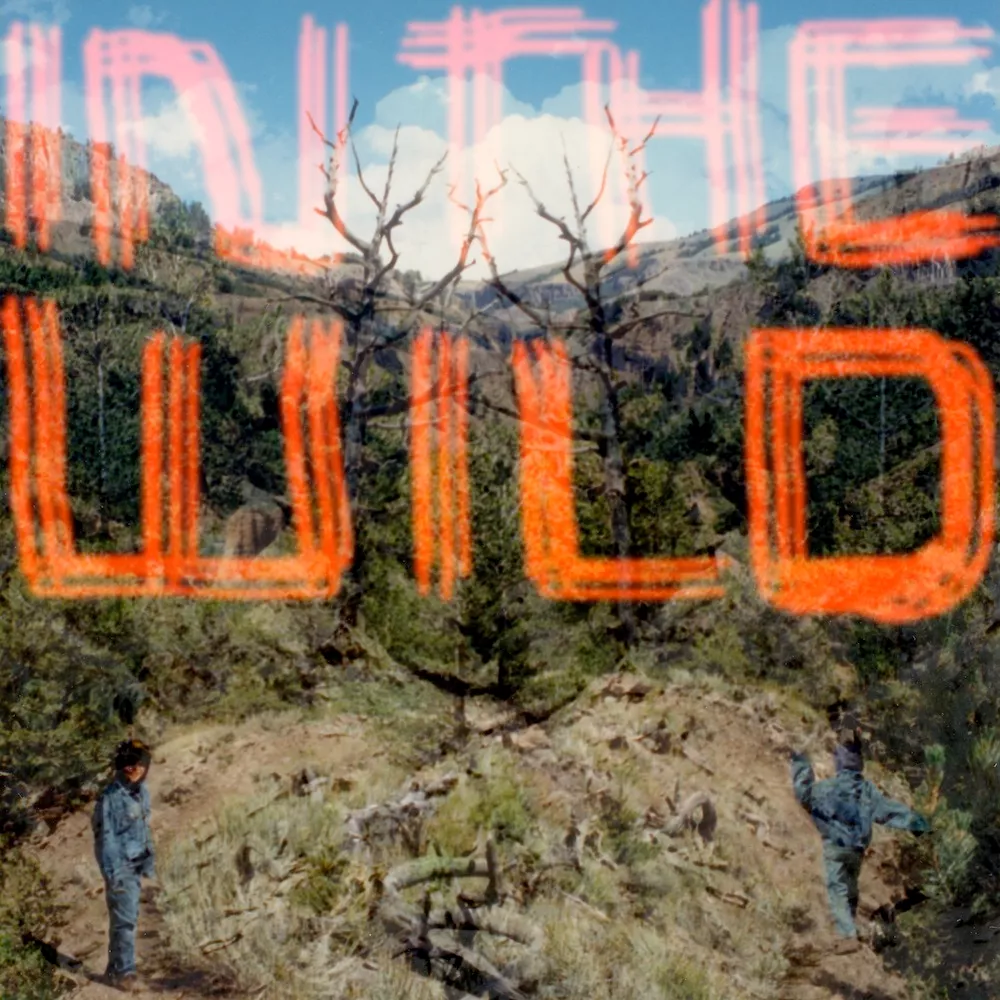 In The Wild - FaltyDL