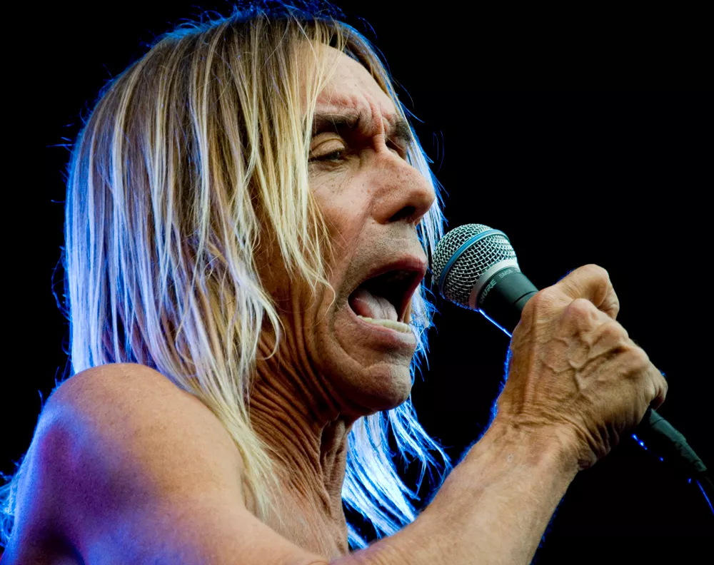 The Stooges dropper Iggy Pop