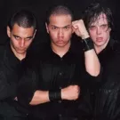 Gratis nyt fra Danko Jones