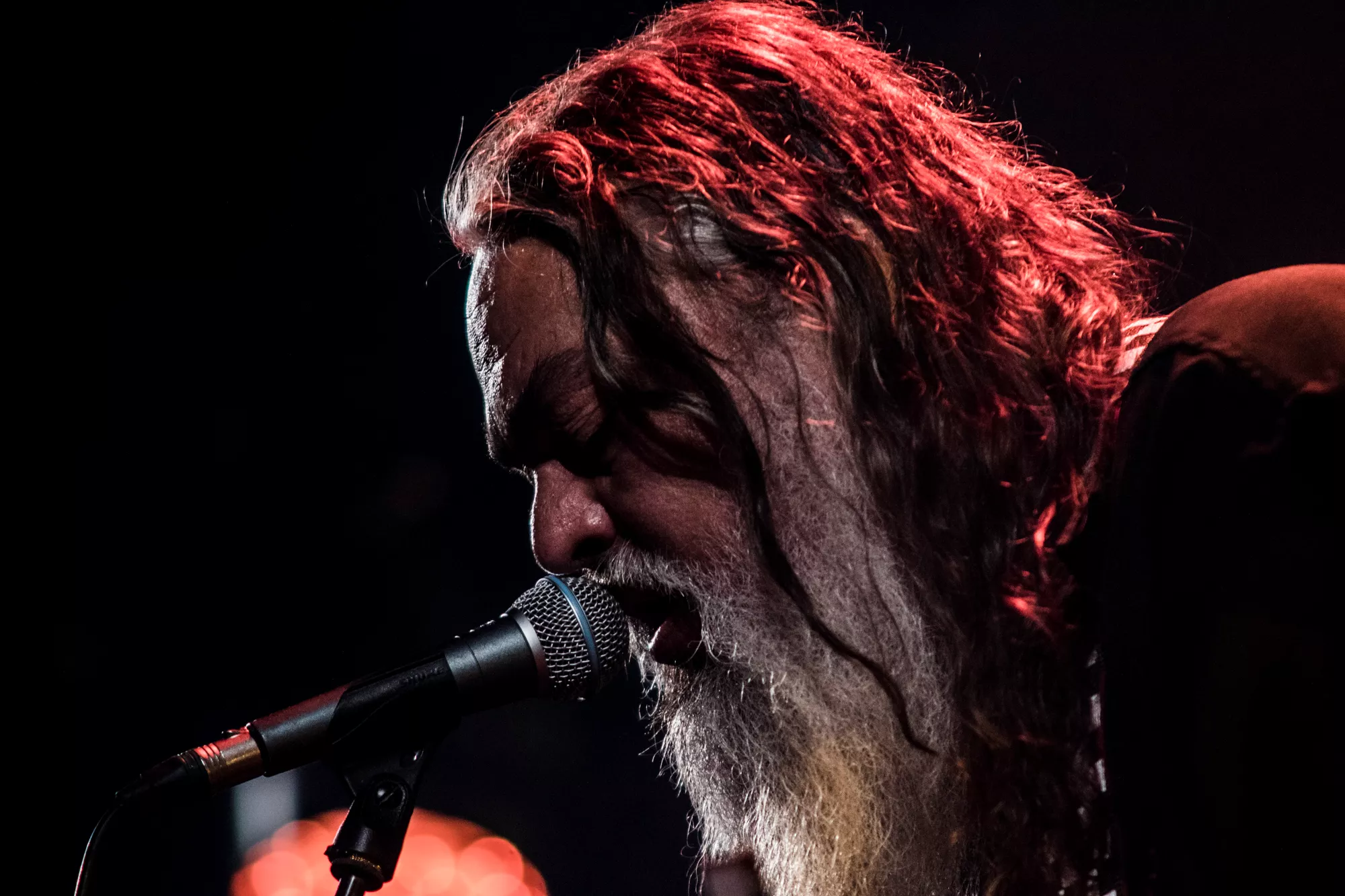 I godt og intenst selskab med Lorenzo Woodrose