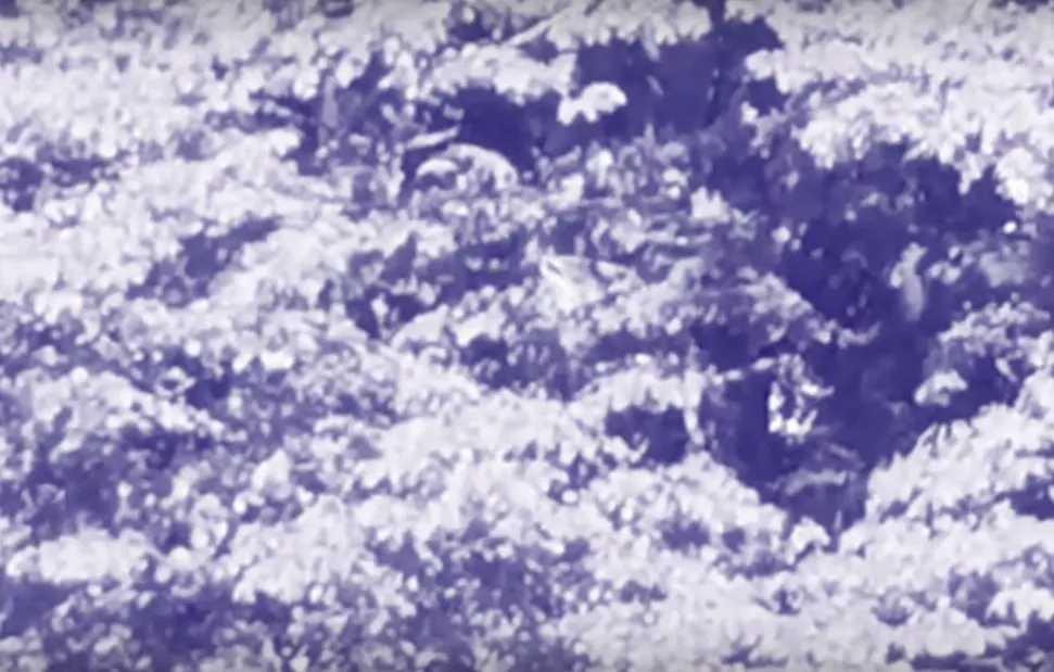 FYNDET: Friendship Club – Mont Blanc